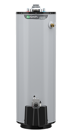 Richmond® Essential® 50 Gallon 6-Year 40,000 BTU Tank Natural Gas Water  Heater at Menards®